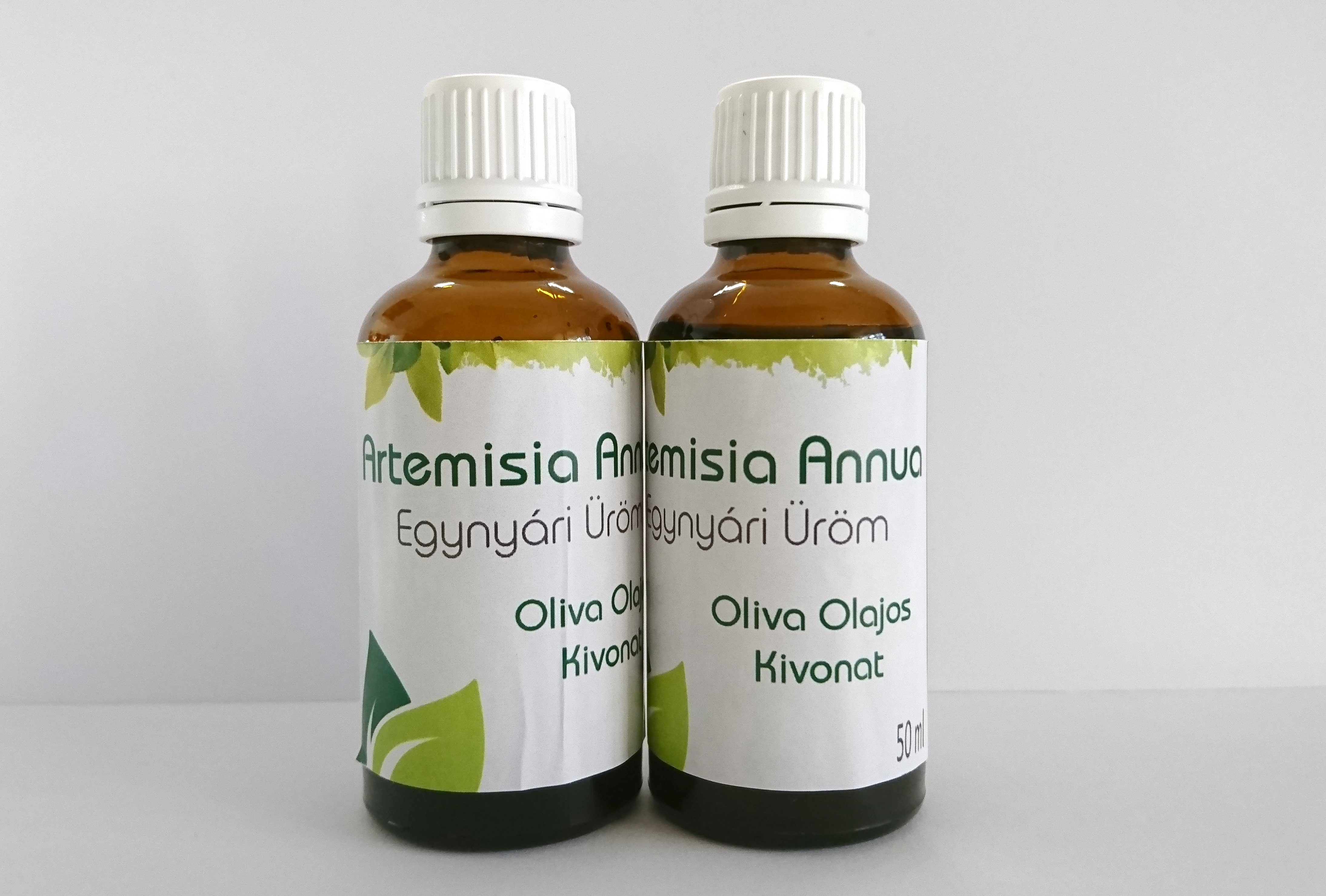 Fehér üröm gyógyhatása (Artemisa absinthium)